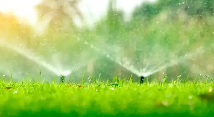 Garden Outdoors