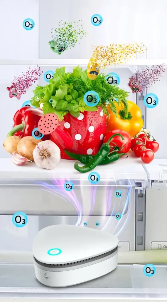 Accelerate the Degradation of Residual Pesticides By Portable Mini Ozone Deodorizing Sterilizer