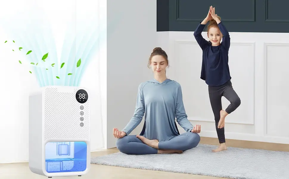 Air Dehumidifier With Portable Design