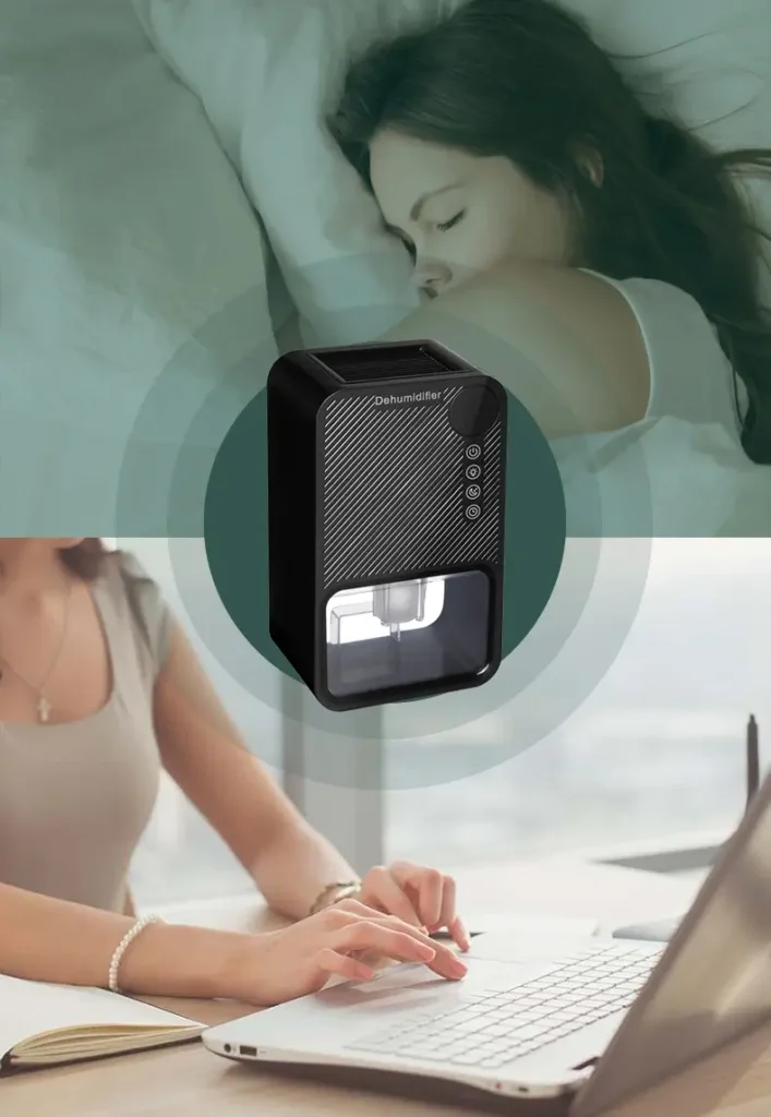 Dehumidifier With Two Working Modes