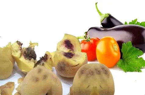 Fruits & Vegetables
