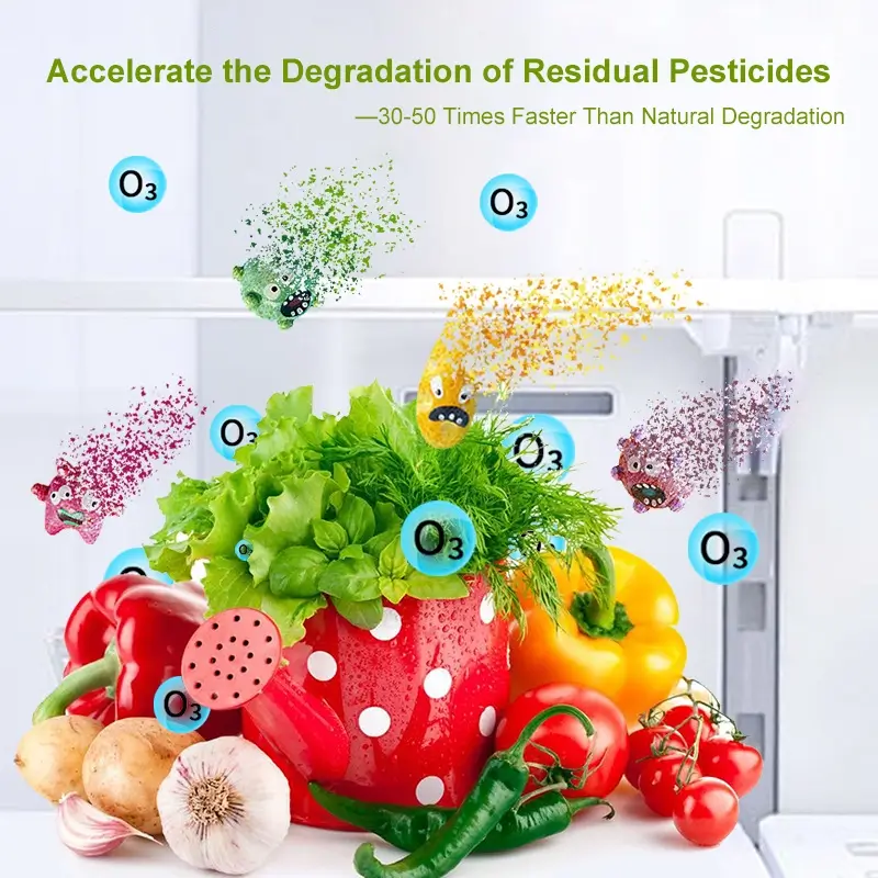 Ozone Deodorizing Sterilizer for Accelerating the Degradation of Residual Pesticides