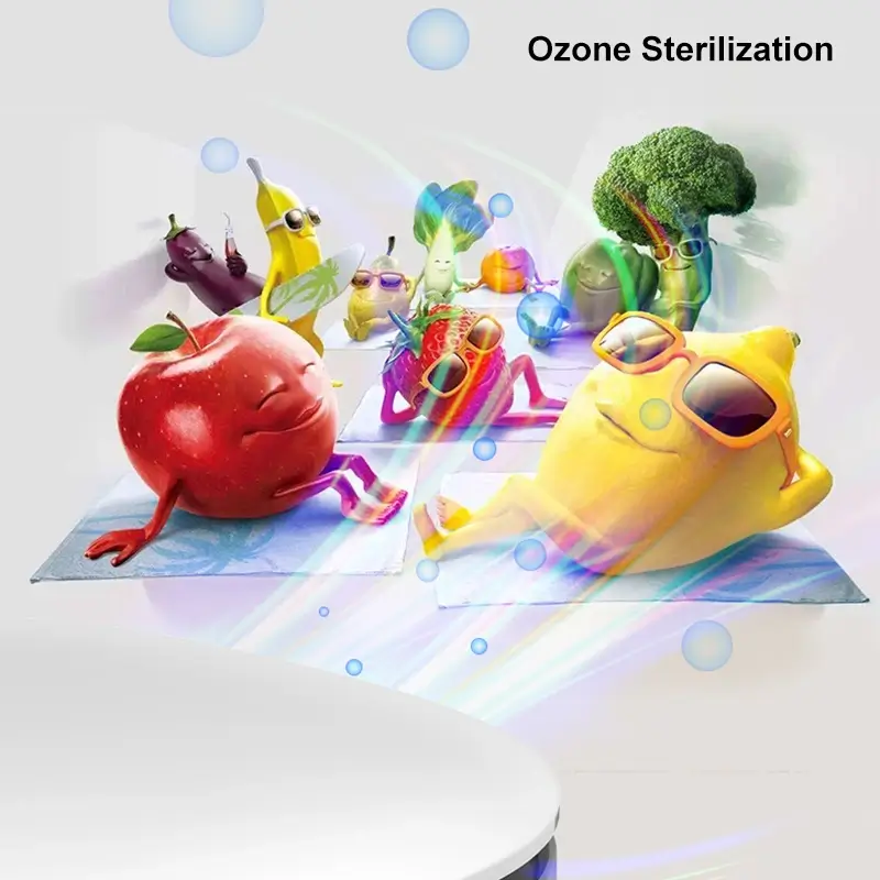 Ozone Generator for Fruit and Vegetable Sterilization