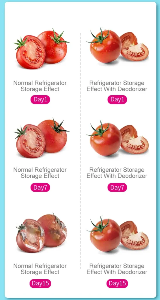 Ozone Inhibit Ripening Agents and Extend the Freshness of Food