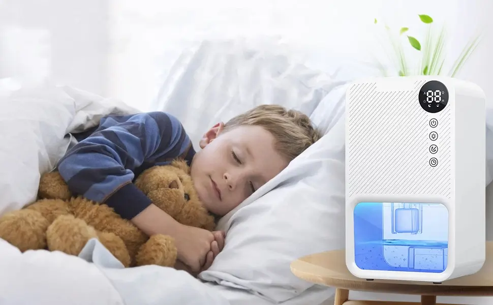 Quiet and Energy Efficient Air Dehumidifier