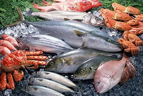 Seafood & Fishes