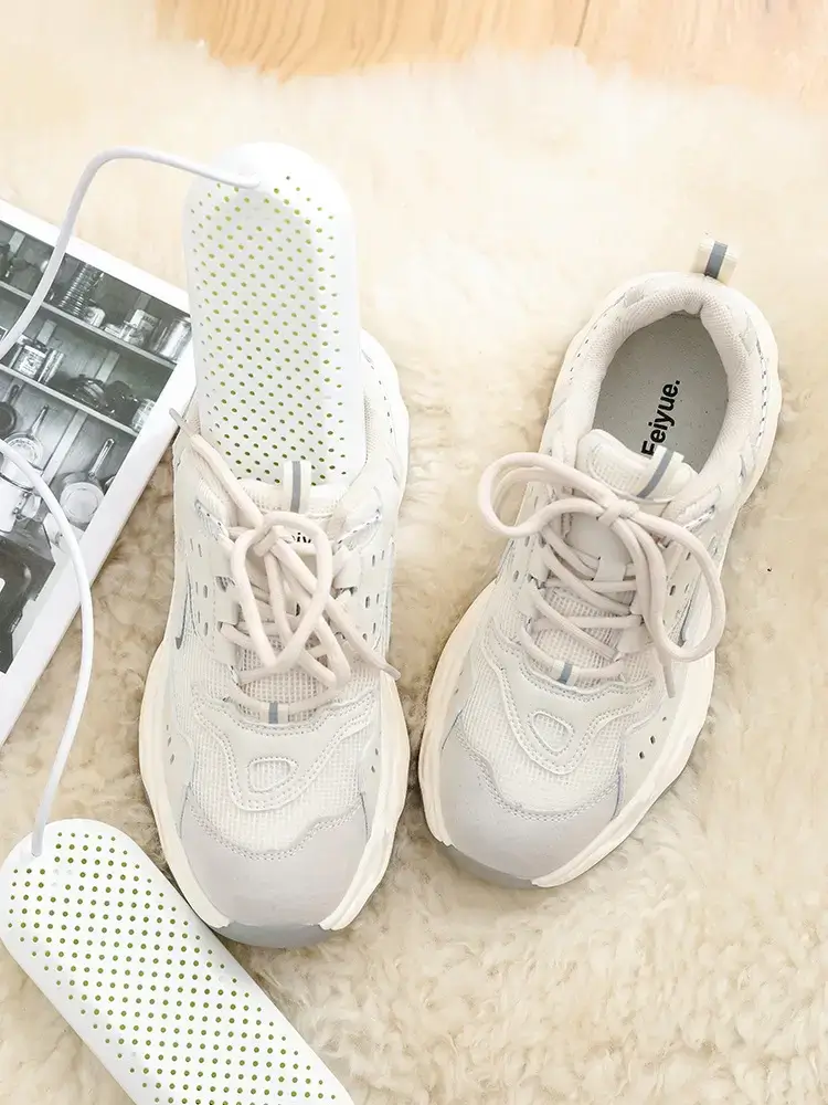 Shoe Dryer